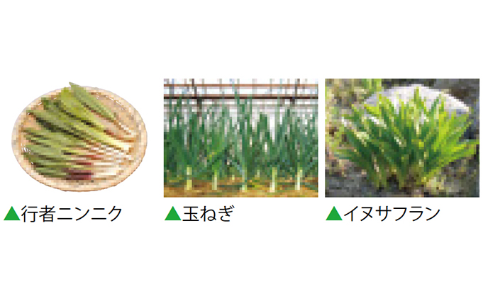 東海コープ 商品検査センター お届けする商品の品質を科学の目で確かめる