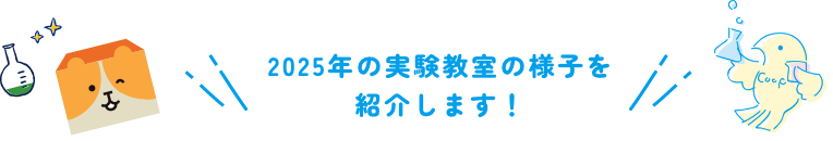 2025年の実験教室の様子を紹介します！