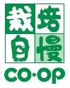 コメント 2024-12-20 141753.png