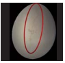 コメント 2025-08-26 094228.png