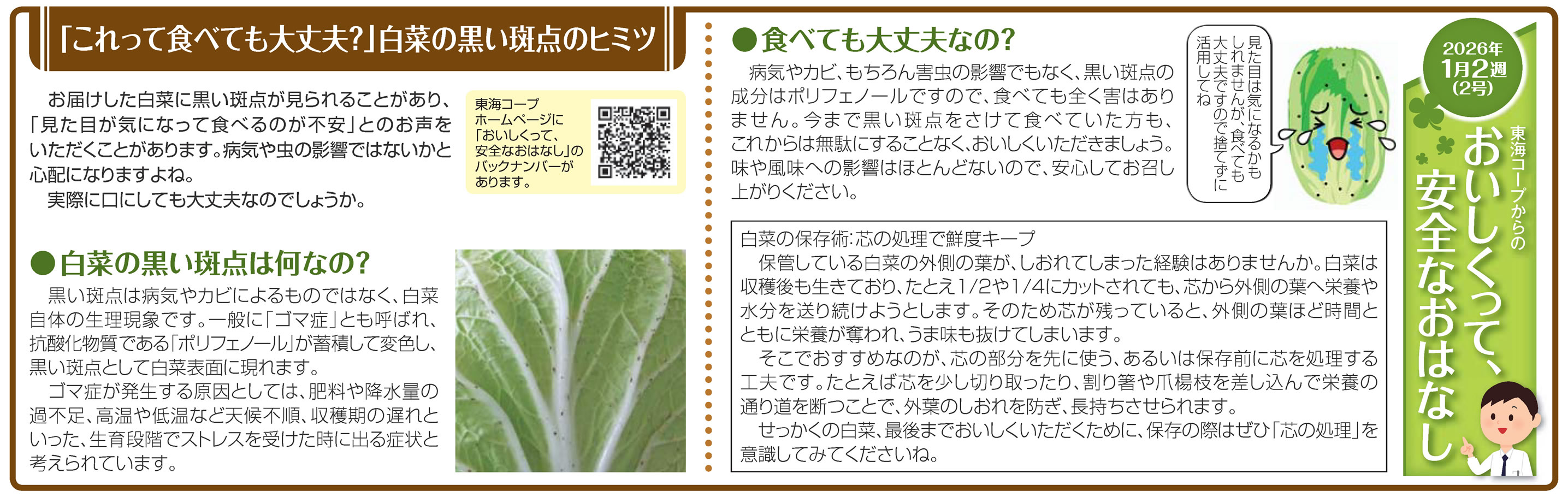 2号_「これって食べても大丈夫？」白菜の黒い斑点のヒミツ