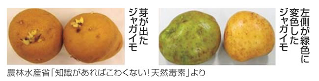 イラスト