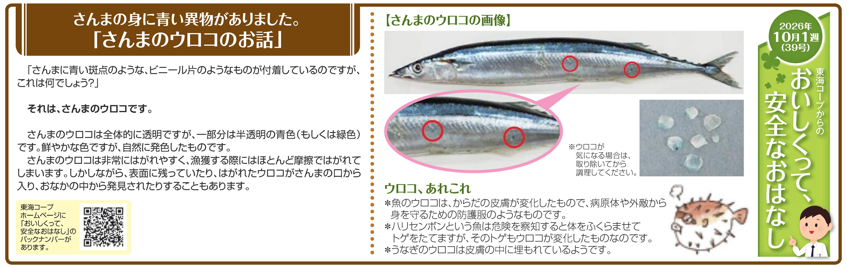 39号_さんまの身に青い異物がありました。「さんまのウロコのお話」