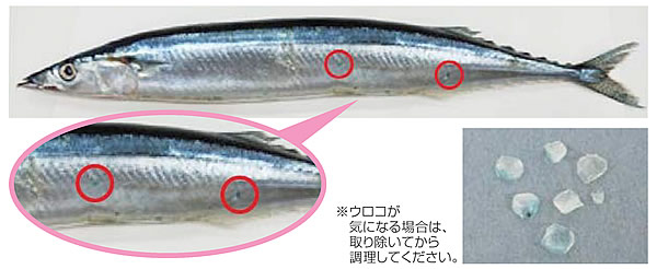 イラスト