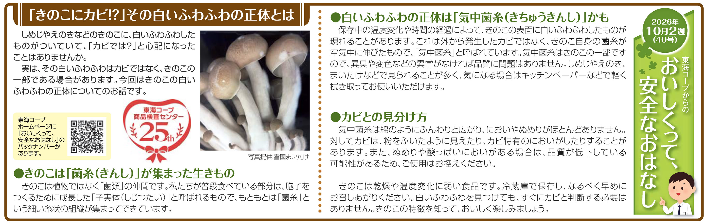 40号_「きのこにカビ!?」その白いふわふわの正体とは