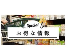 初夏のケース予約の受付が始まりました！