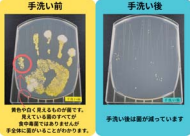 コメント 2025-05-29 103024.png