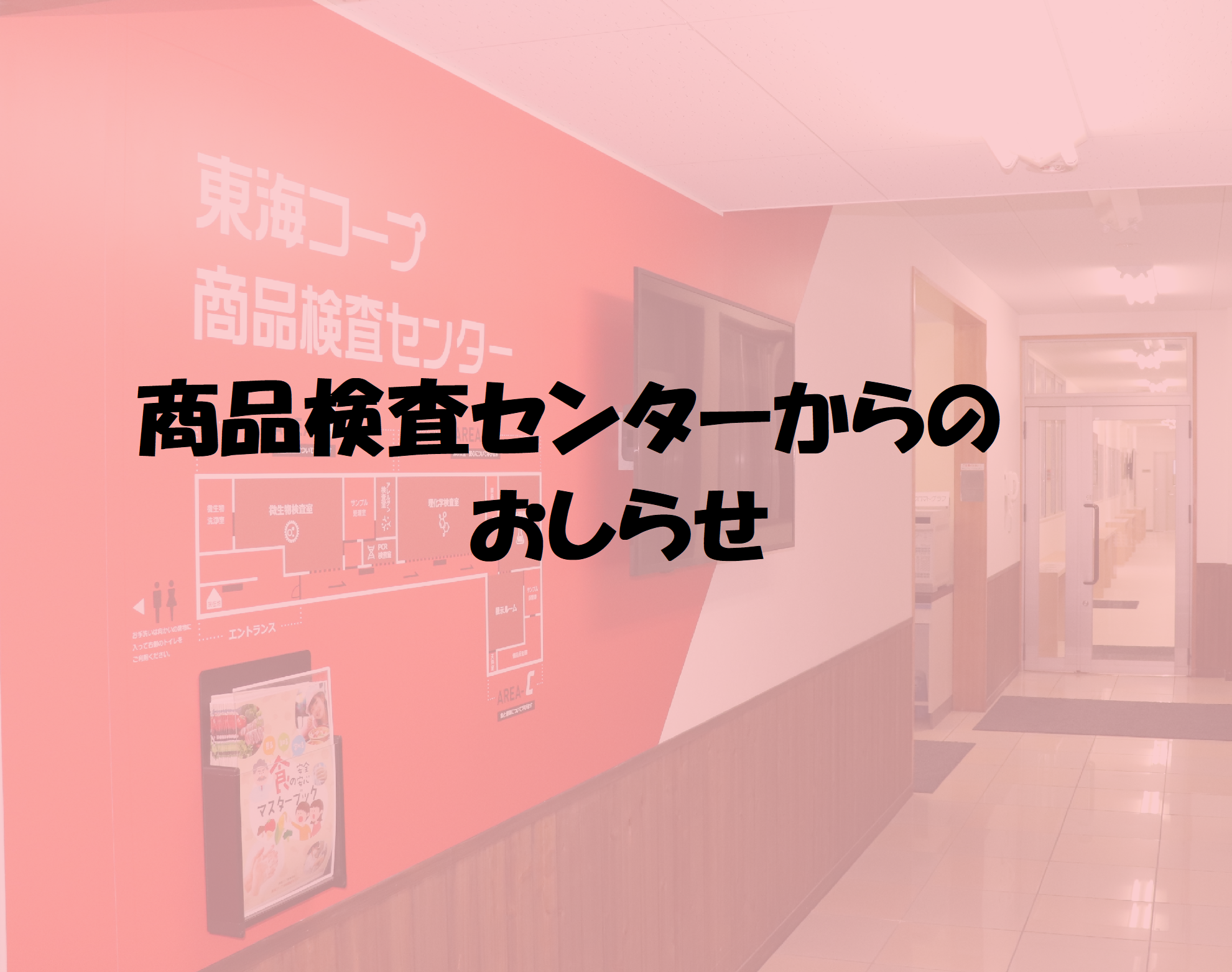 家庭でできる食生活の取り組み‐金城学院大学の学生さんと共同研究しました