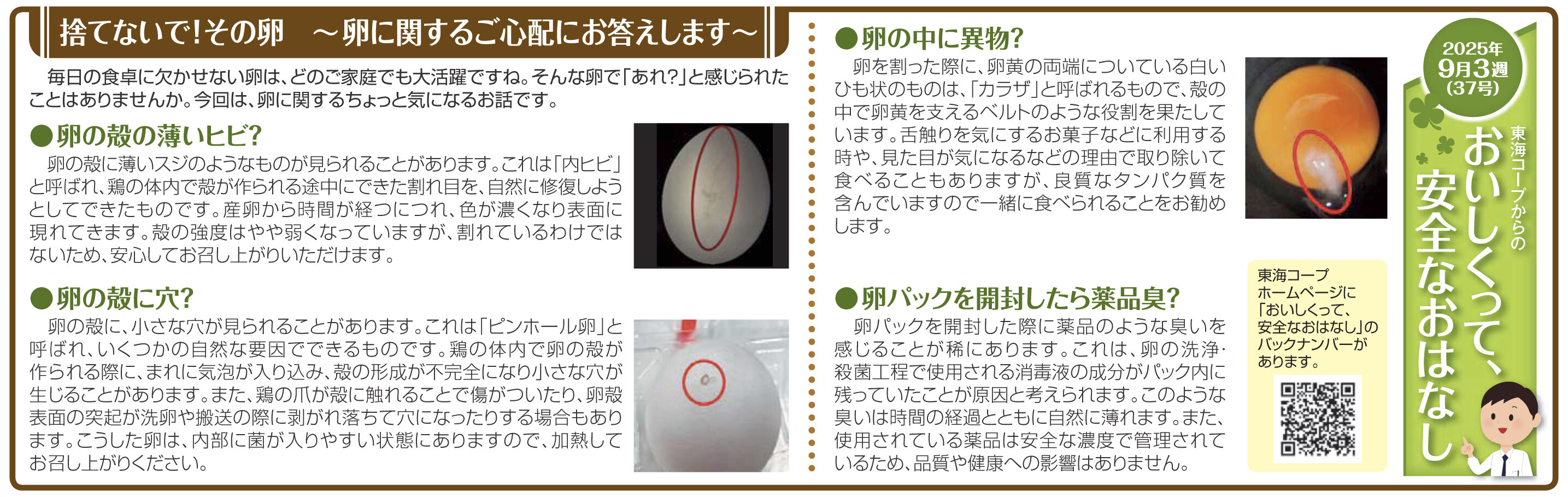 37号‗捨てないで！その卵　～卵に関するご心配にお答えします～.jpg