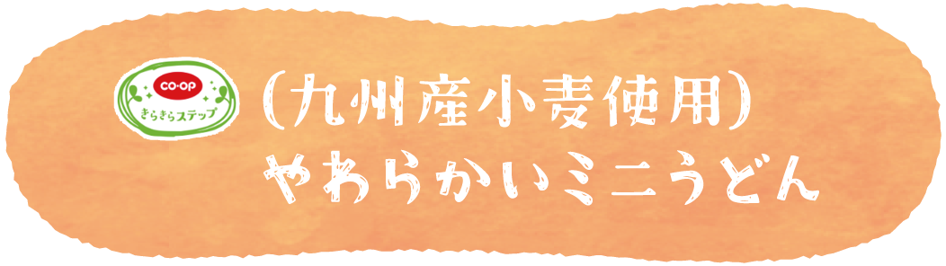 （九州産小麦使用）やわらかいミニうどん